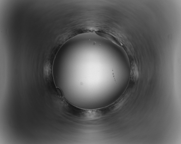 X0000090700623200707201158