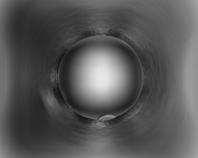 X0000090700624200707201158