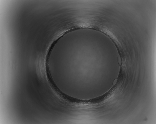 X0000090700626200707201158