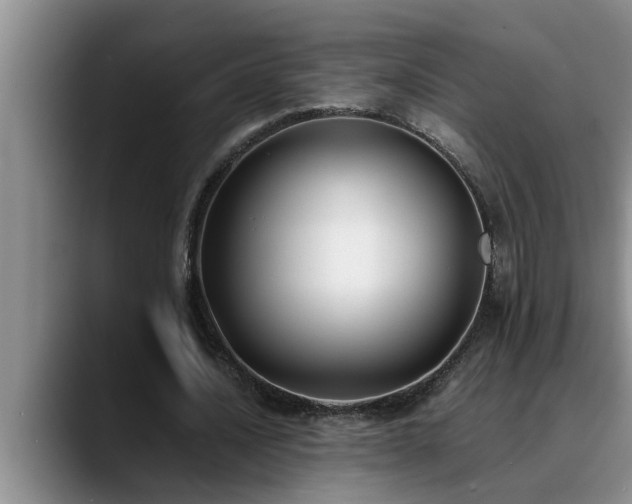 X0000090700628200707201158