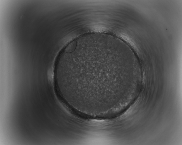 X0000090700630200707201158