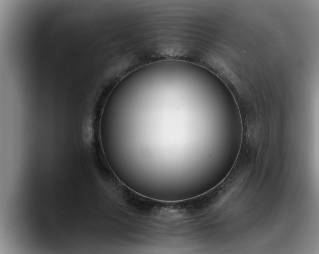 X0000090700635200707201158