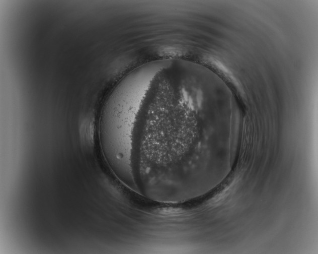 X0000090700637200707201158