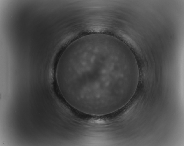 X0000090700640200707201158