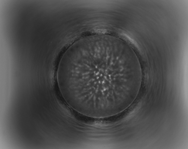 X0000090700641200707201158