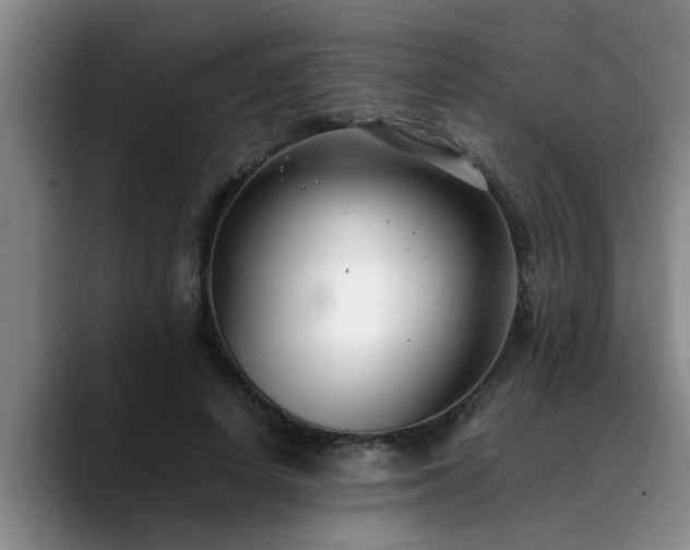 X0000090700642200707201158