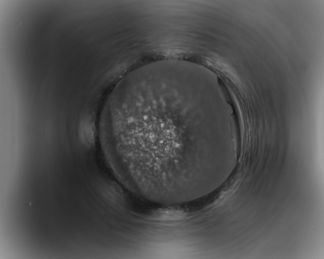 X0000090700644200707201158