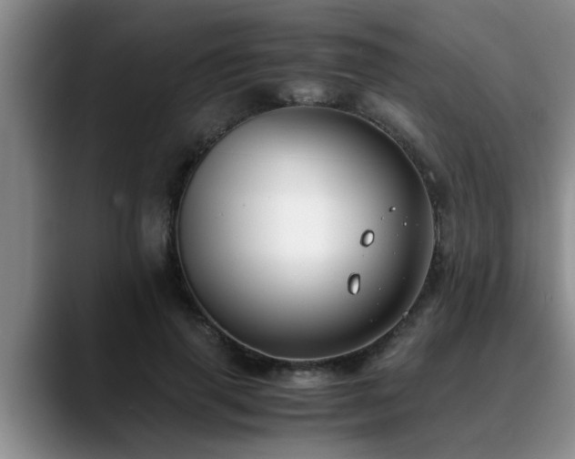 X0000090700645200707201158