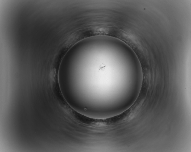 X0000090700649200707201158