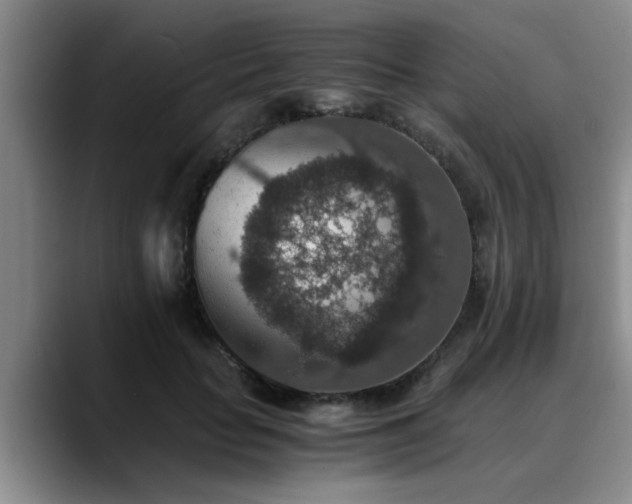 X0000090700653200707201158