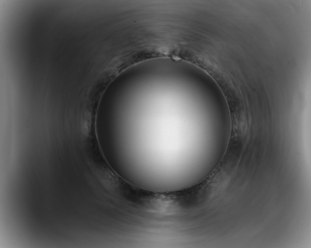 X0000090700656200707201158