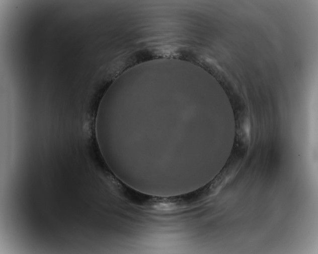 X0000090700658200707201158