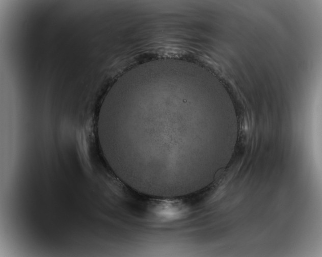 X0000090700663200707201158