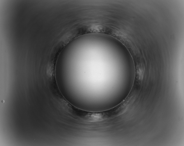 X0000090700665200707201158