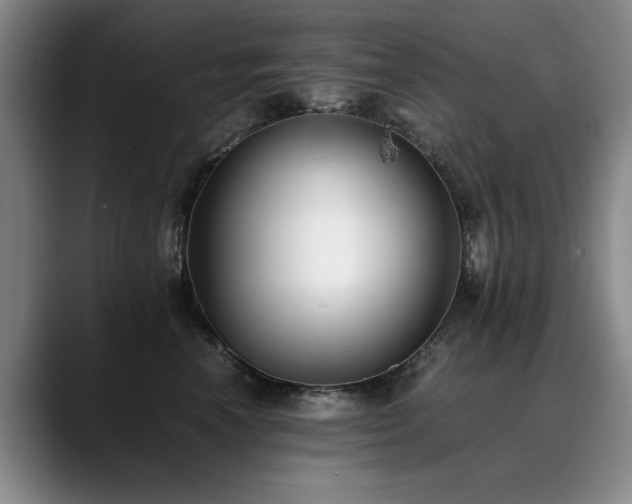 X0000090700666200707201158