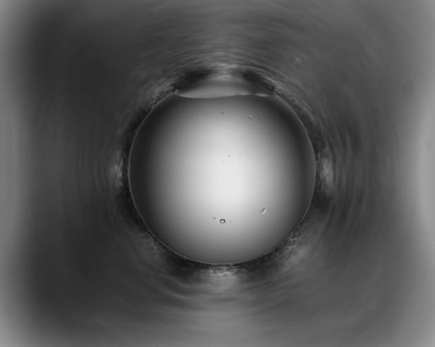 X0000090700668200707201158