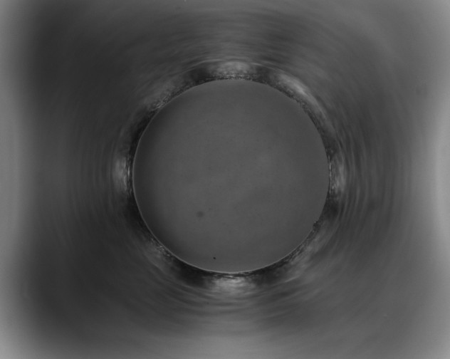 X0000090700669200707201158