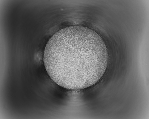X0000090700672200707201158