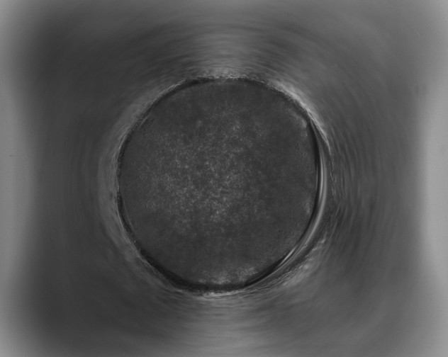 X0000090700673200707201158