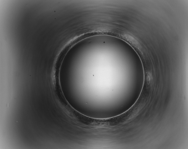 X0000090700676200707201158