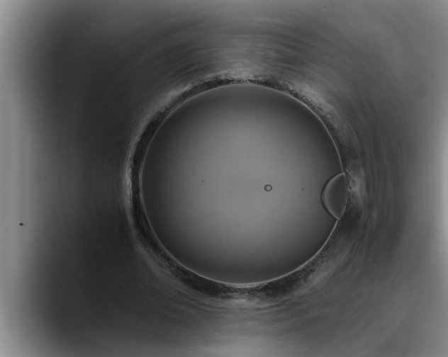 X0000090700678200707201158