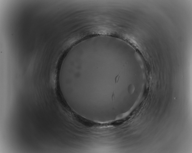 X0000090700679200707201158