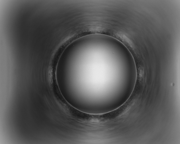 X0000090700684200707201158