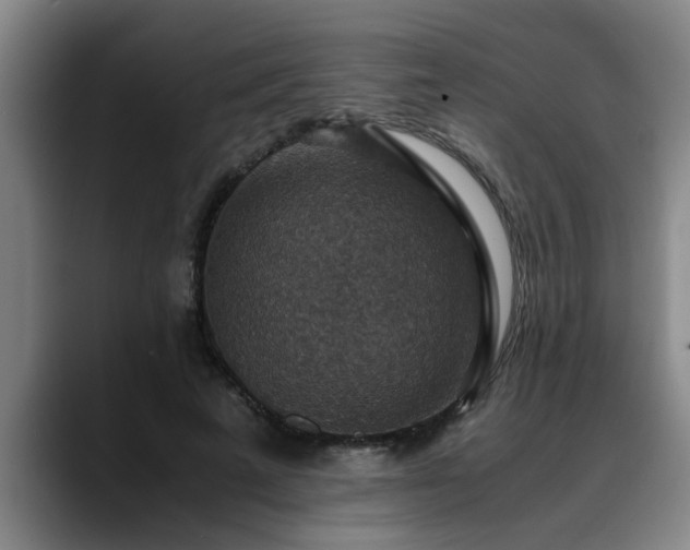 X0000090700689200707201158