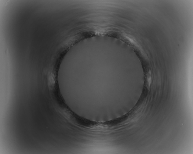 X0000090700691200707201158