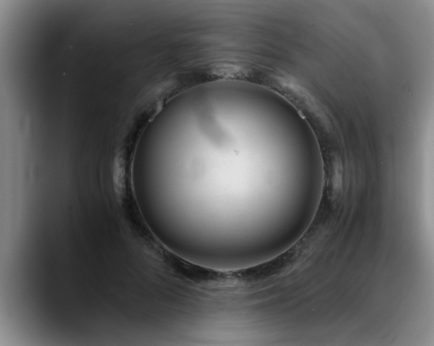 X0000090700696200707201157