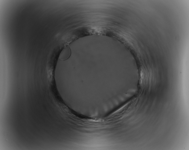 X0000090700699200707201157