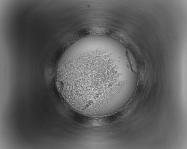 X0000090700701200707201157