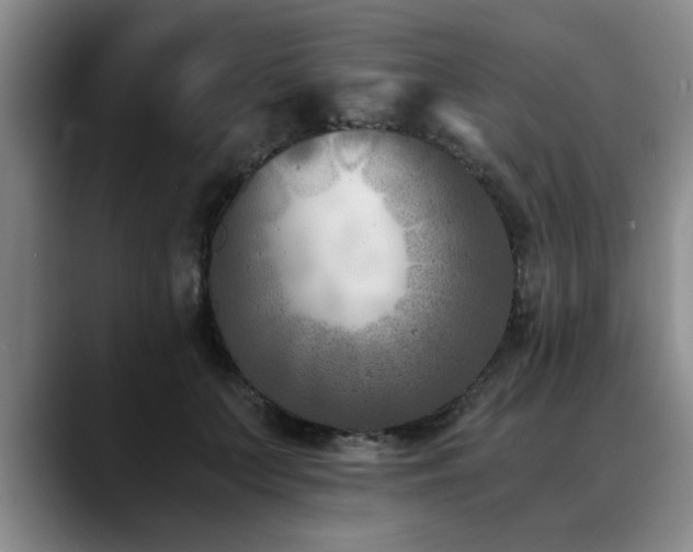 X0000090700703200707201157