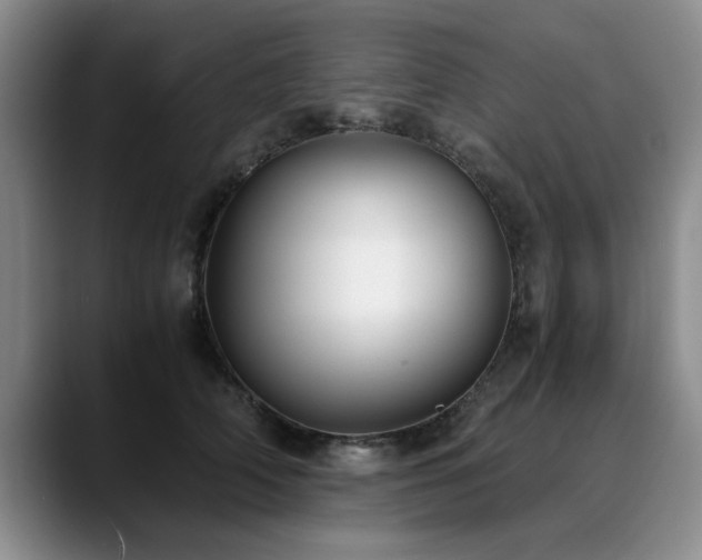 X0000090700706200707201157