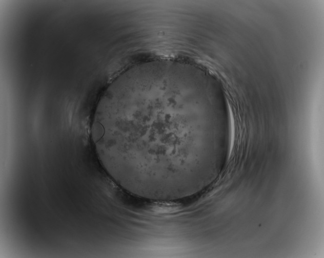 X0000090700707200707201157