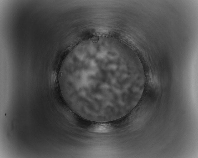 X0000090700711200707201157