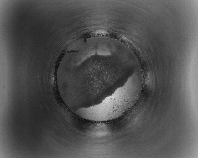 X0000090700715200707201157