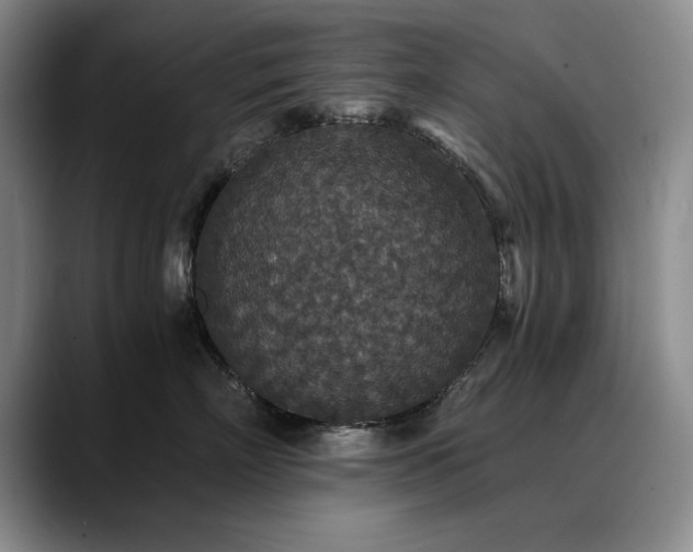 X0000090700718200707201157