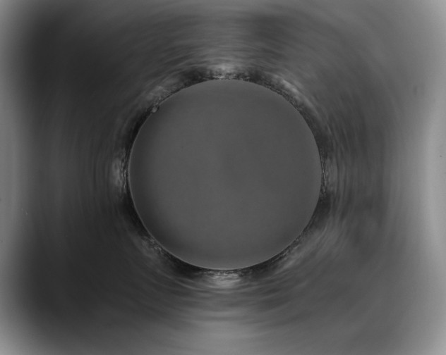 X0000090700719200707201157