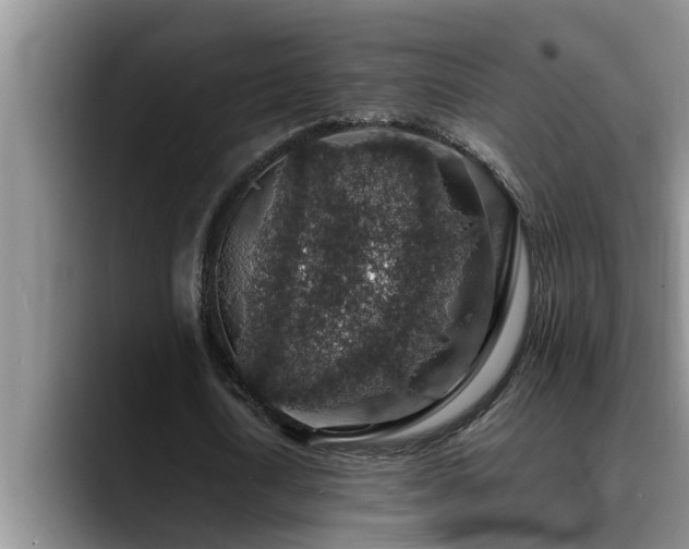 X0000090700722200707201157