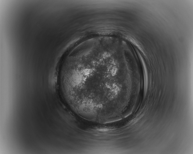 X0000090700723200707201157