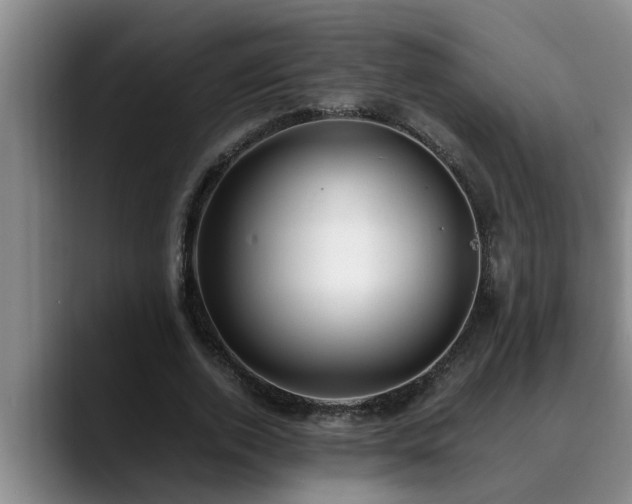 X0000090700728200707201157