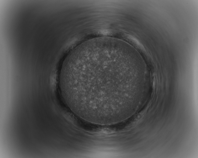 X0000090700736200707201157