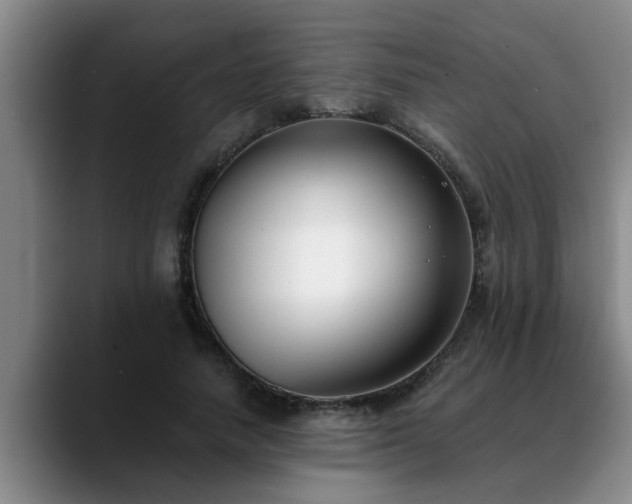 X0000090700738200707201157