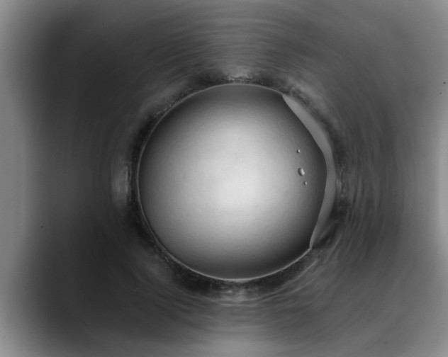 X0000090700740200707201157