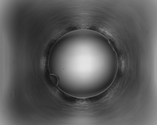 X0000090700742200707201157