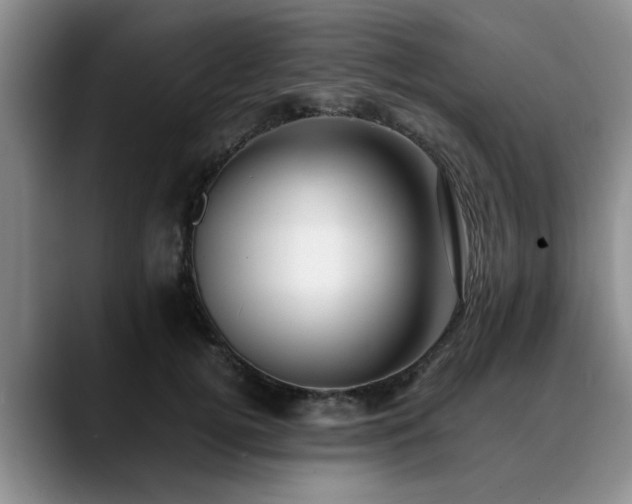 X0000090700752200707201157