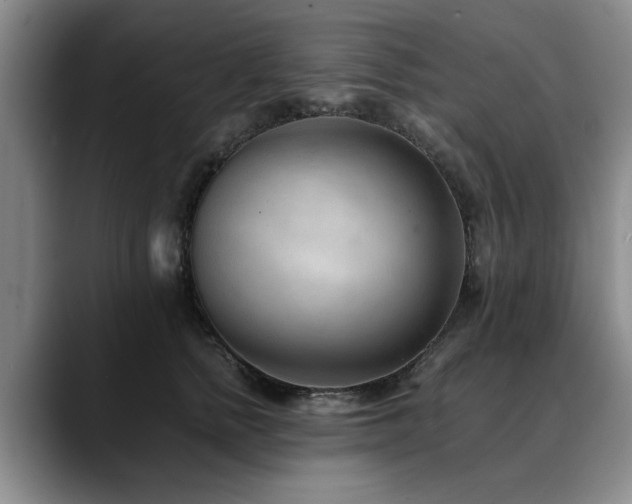 X0000090700758200707201157