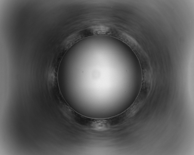 X0000090700761200707201157