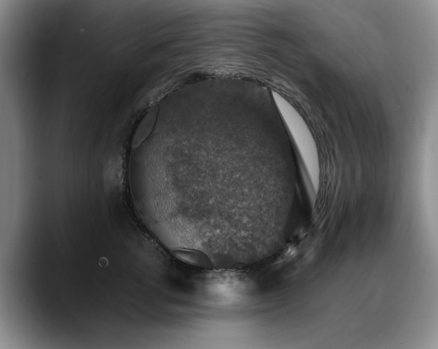 X0000090700762200707201157